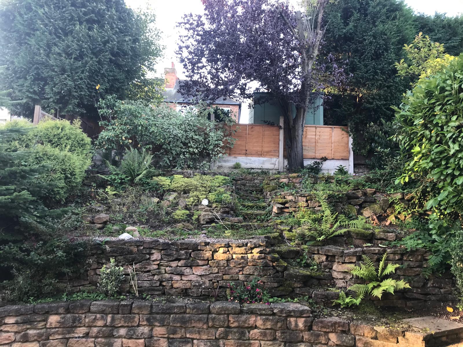 Terraced garden before — overgrown with dry stone walls