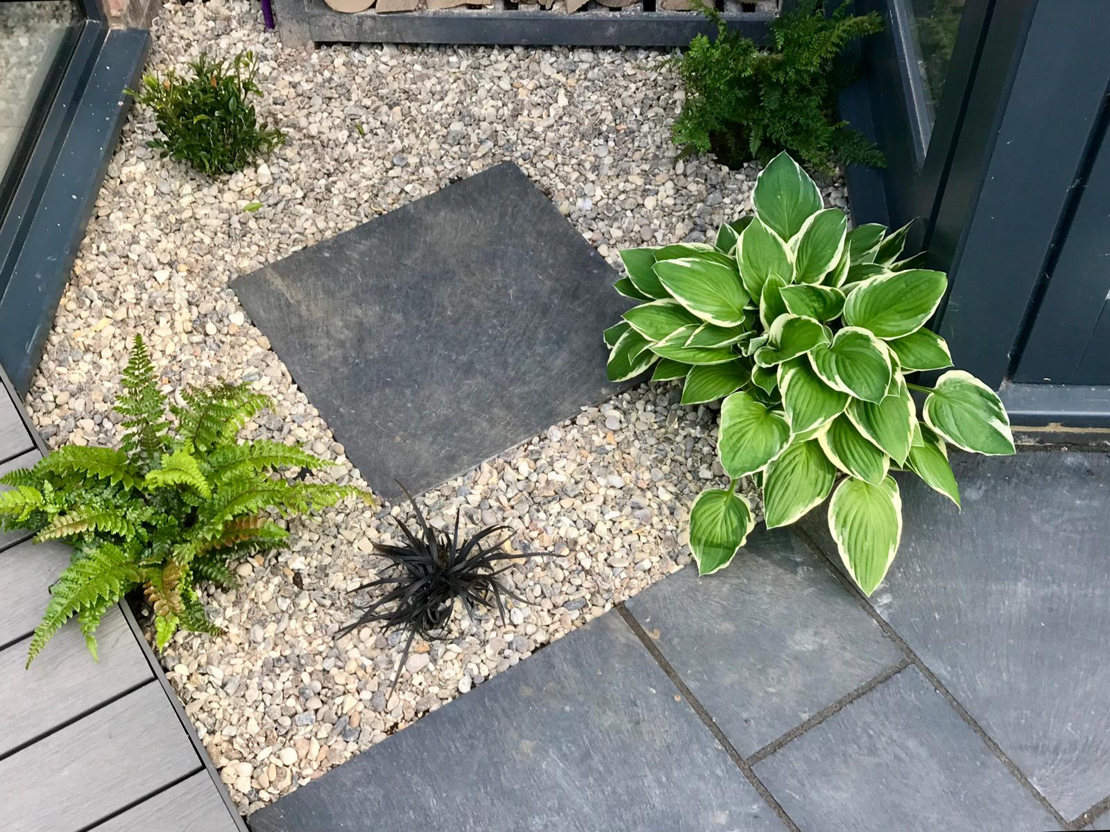 Planting scheme with hostas and ferns