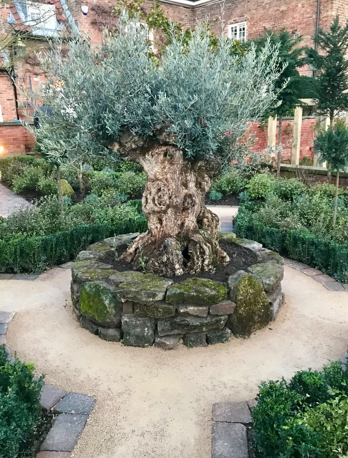 Formal garden topiary and trees