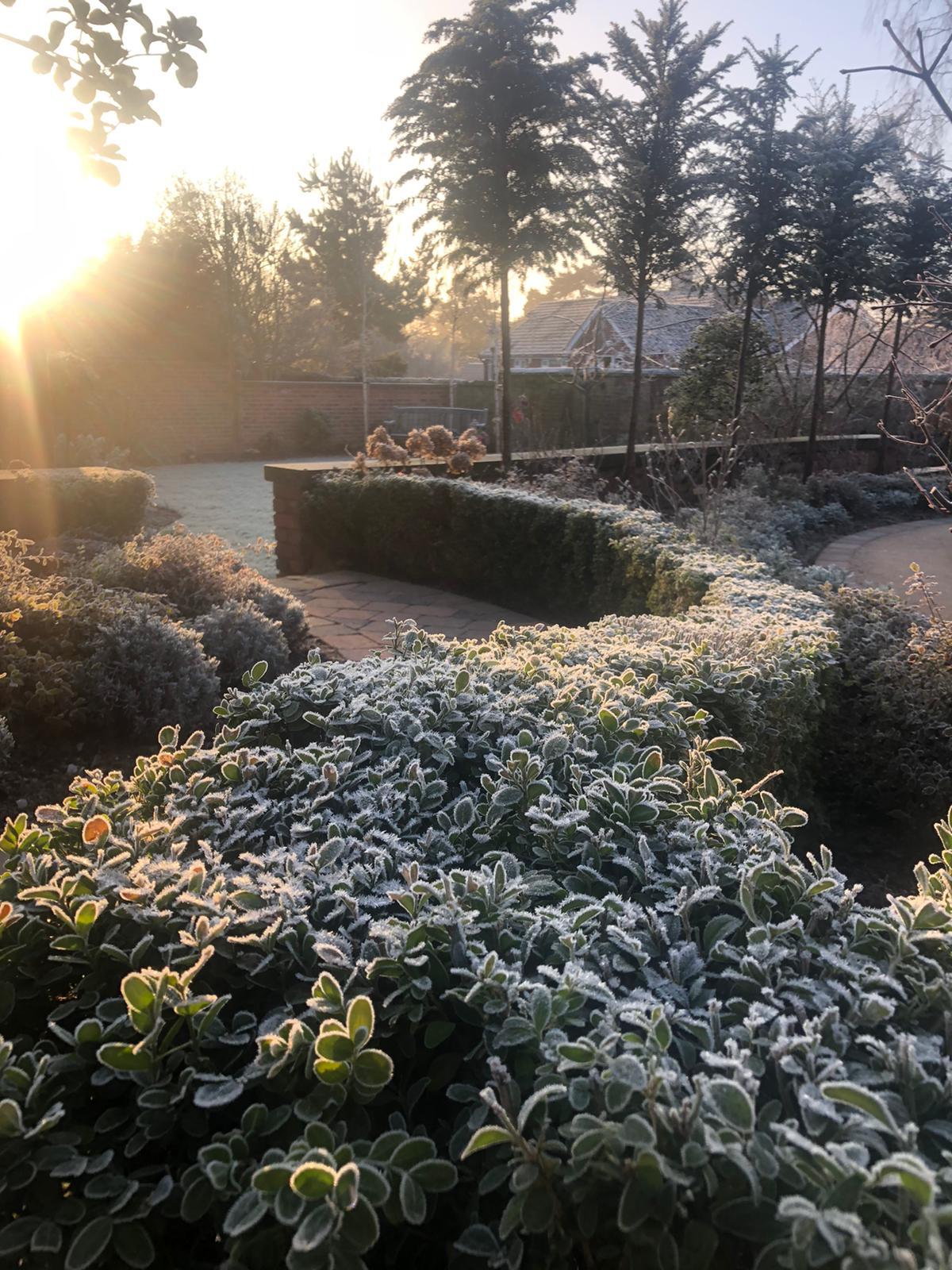 Formal garden paths and planting