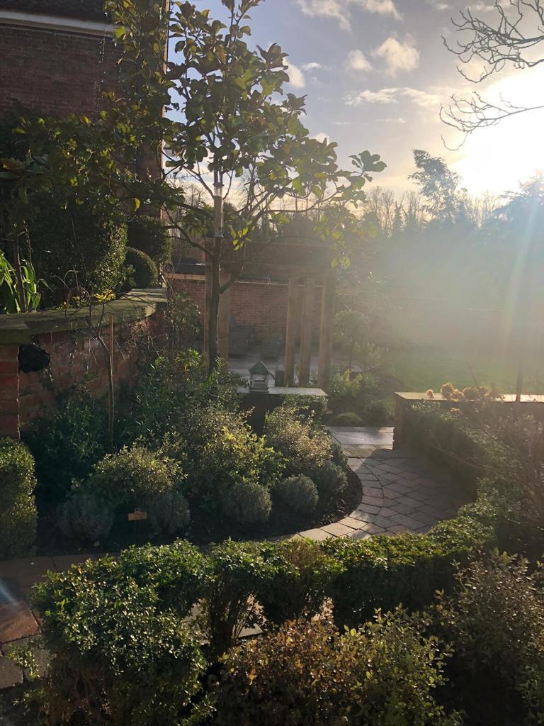 Formal garden box parterre