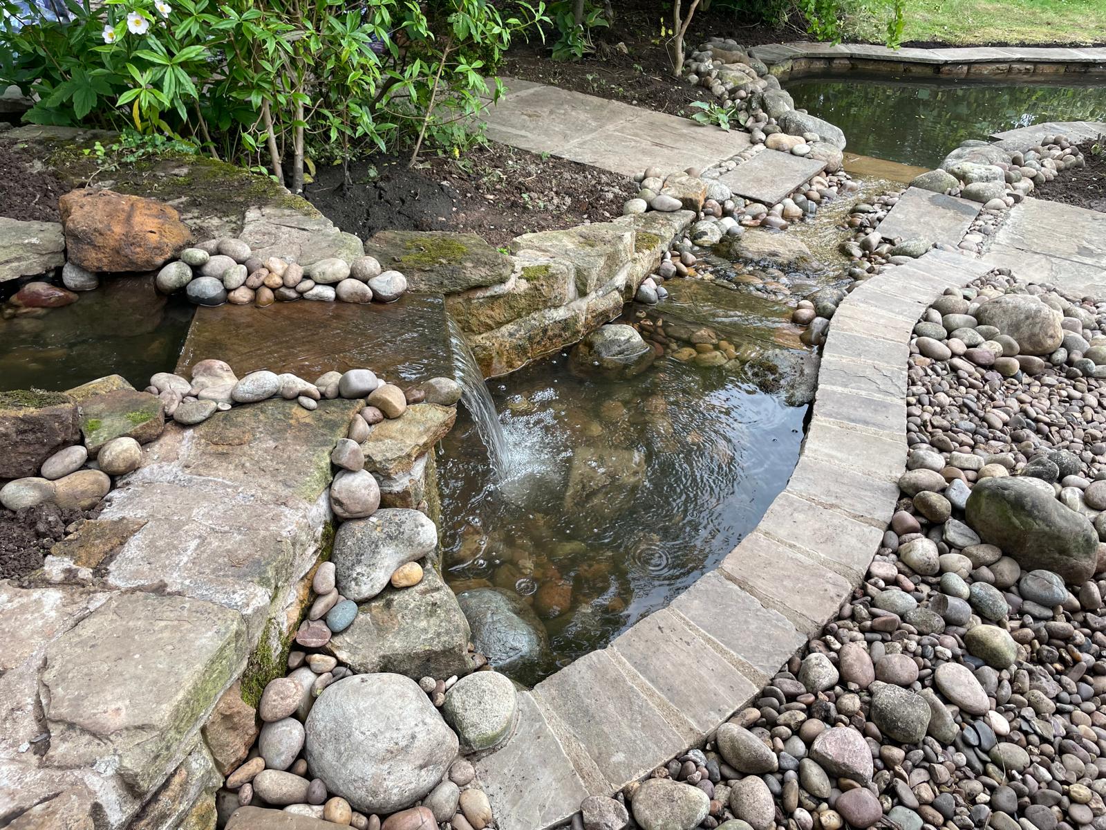 Wildlife pond with stone path