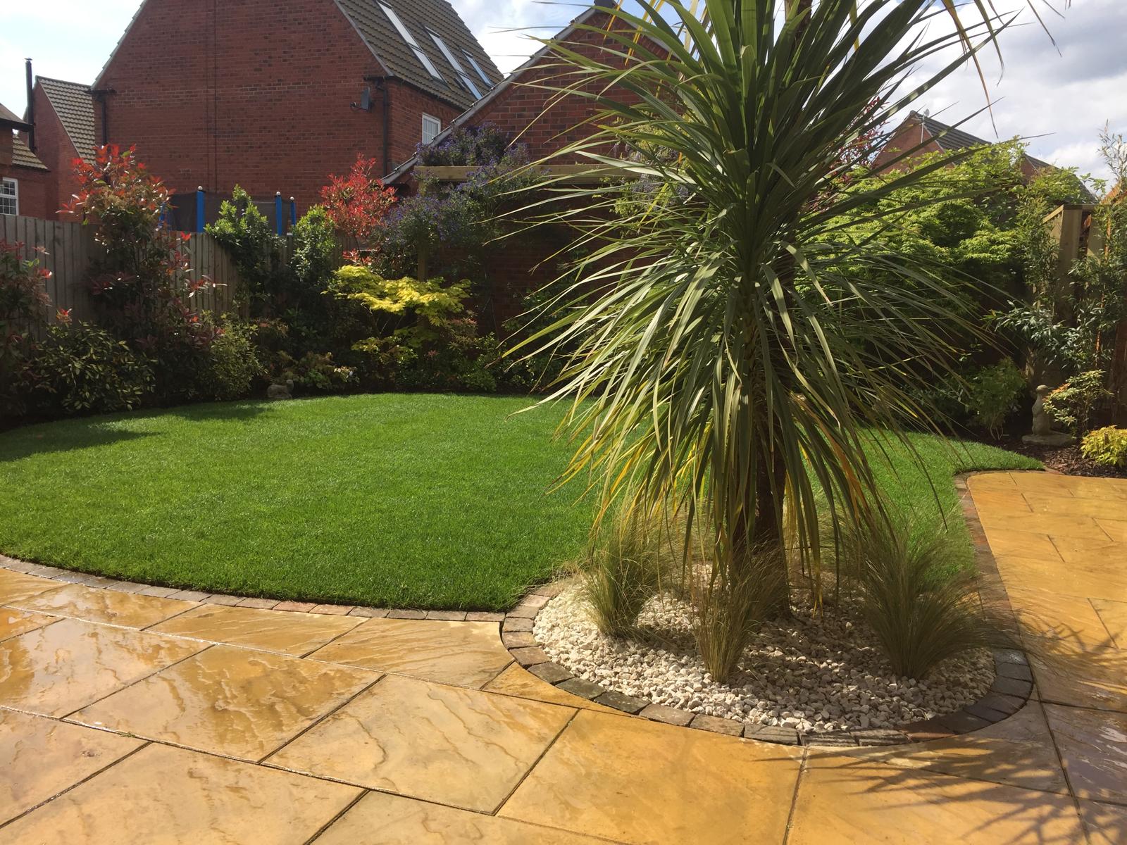 Buff stone patio with curved lawn and cordyline planting