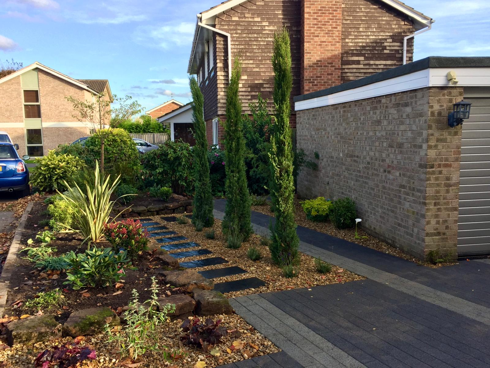 Front garden with columnar junipers and phormium planting